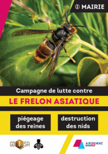Lire la suite à propos de l’article Lutte contre le frelon asiatique